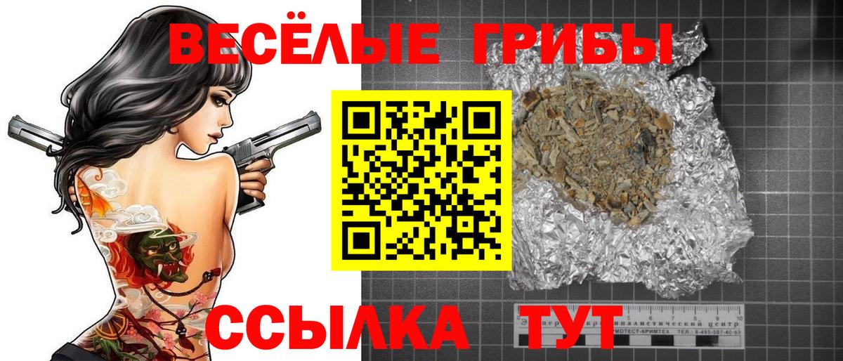 Галлюциногенные грибы Magic Shrooms Тамбов