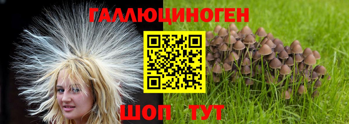 Галлюциногенные грибы прущие грибы  Вход с VPN  Тамбов 